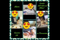 PhotoEditorCollageMaker-4